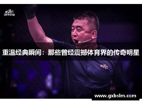 重温经典瞬间：那些曾经震撼体育界的传奇明星