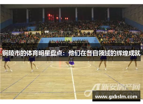 铜陵市的体育明星盘点：他们在各自领域的辉煌成就