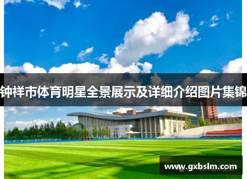 钟祥市体育明星全景展示及详细介绍图片集锦